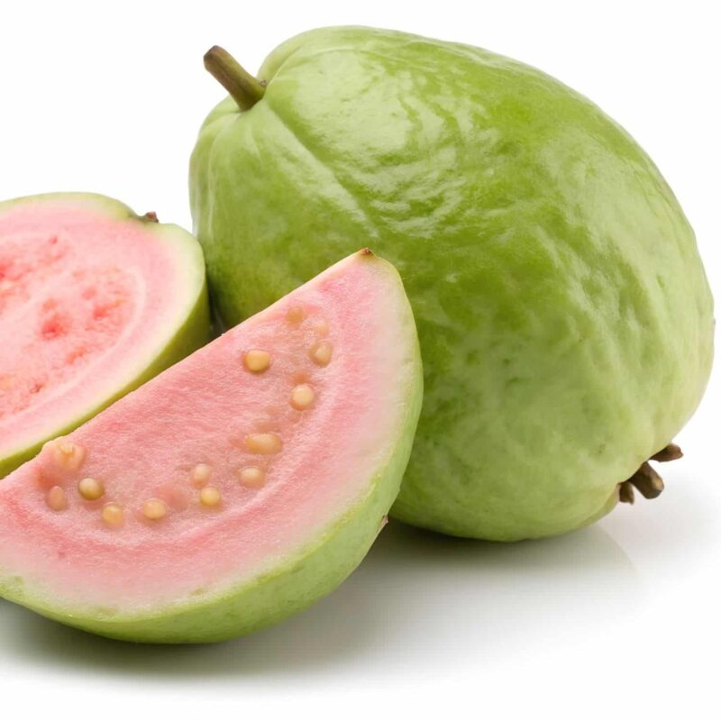 עץ גוייבה מצרית