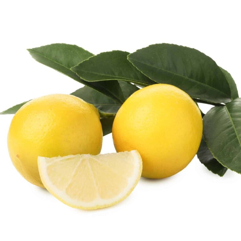 עץ לימון ליים