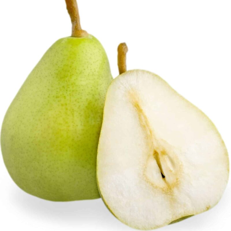 עץ אגס ספידונה