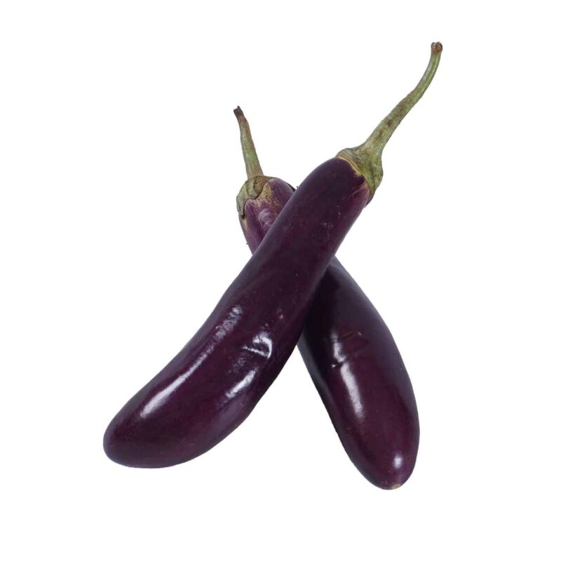 שתילי חציל יפני מוארך אורגניים מוכנים לשתילה במשלוח עד הבית