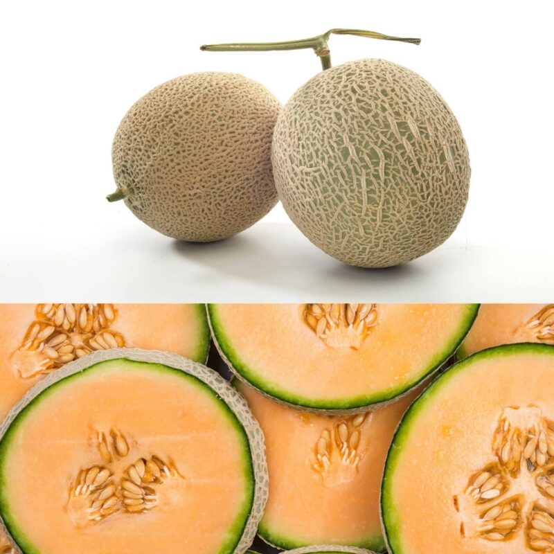 שתילי מלון עגול כתום מתוק אורגניים מוכנים לשתילה במשלוח עד הבית