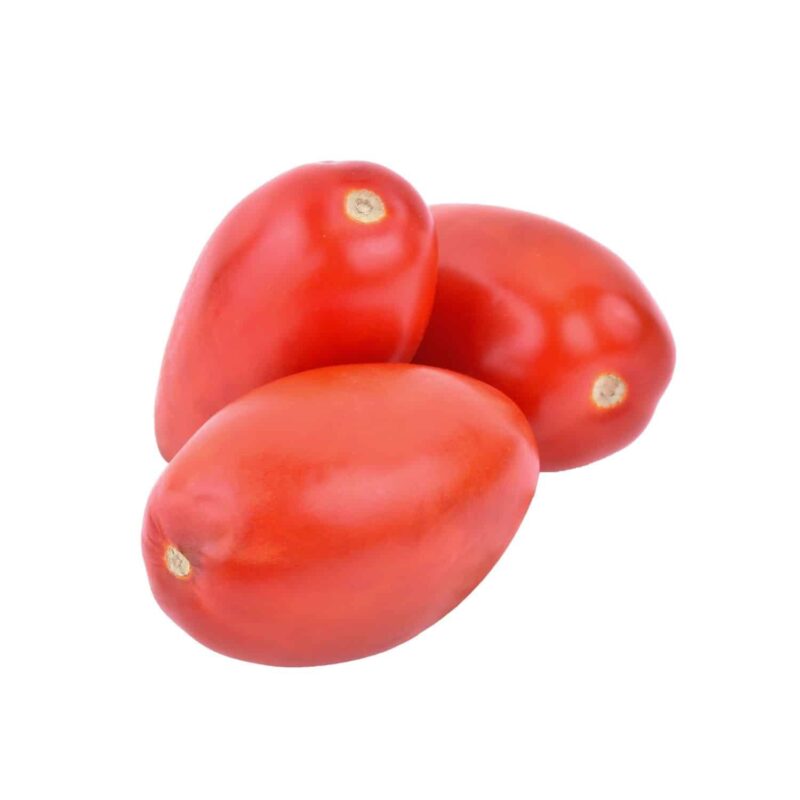 שתילי עגבניה תמר שיחית אדומה אורגניים מוכנים לשתילה במשלוח עד הבית