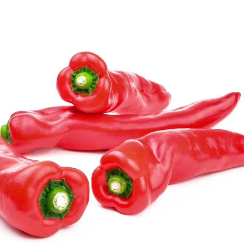 שתילי פלפל דולצ'ה איטליאנו אדום מתוק מקצועי אורגניים מוכנים לשתילה במשלוח עד הבית