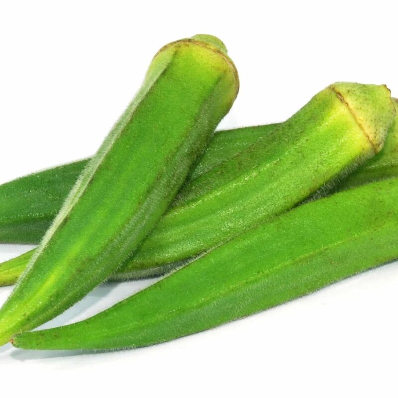 שתילי במיה ירוקה גדולה אורגניים מוכנים לשתילה במשלוח עד הבית