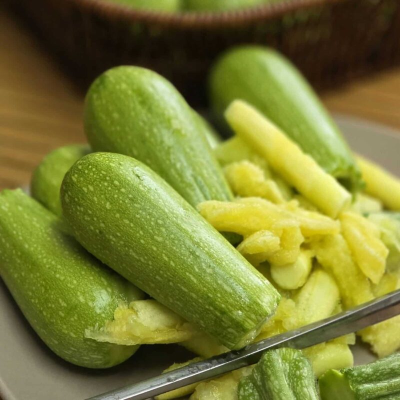 שתילי קישוא למילוי אגסי בהיר אורגניים מוכנים לשתילה במשלוח עד הבית