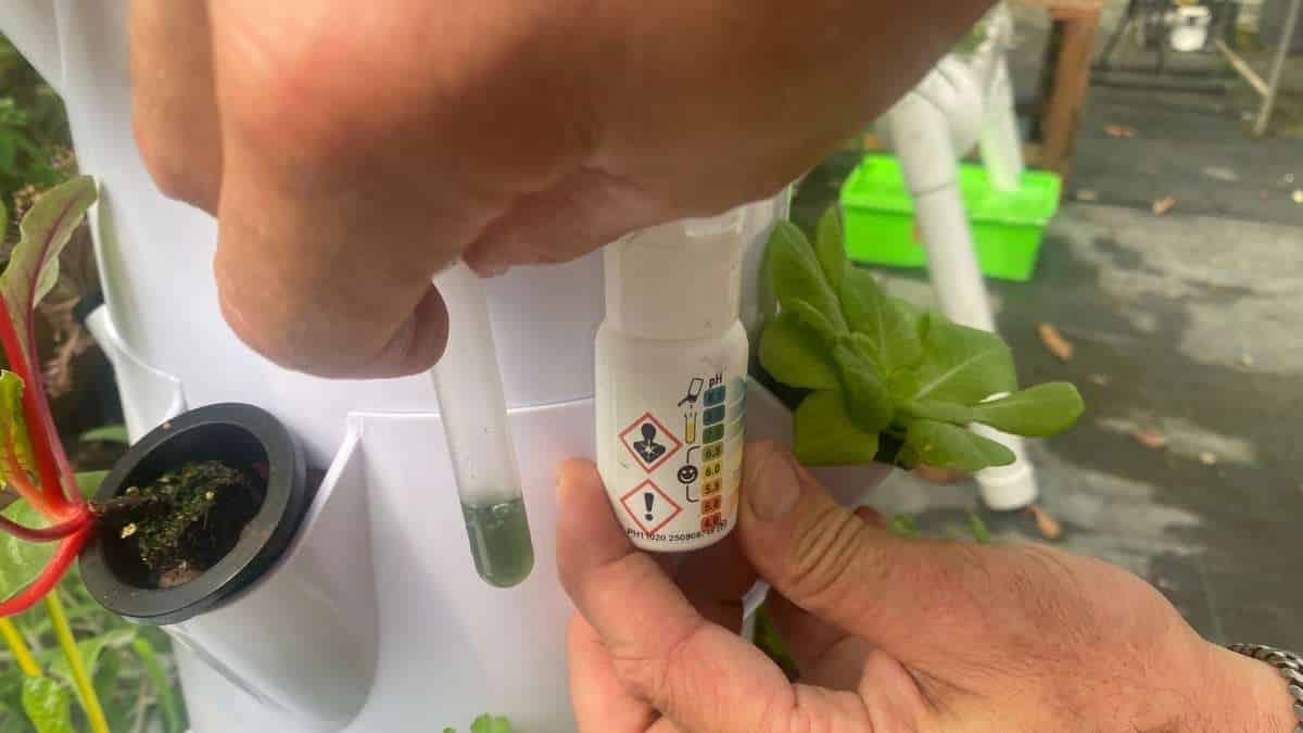 מדידת רמת pH במערכת מגדל הידרופוני במשתלת לקט