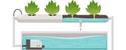 Greenhouse vertical farming hydroponics aeroponics cartoon composition with plants in tube bath vector illustration